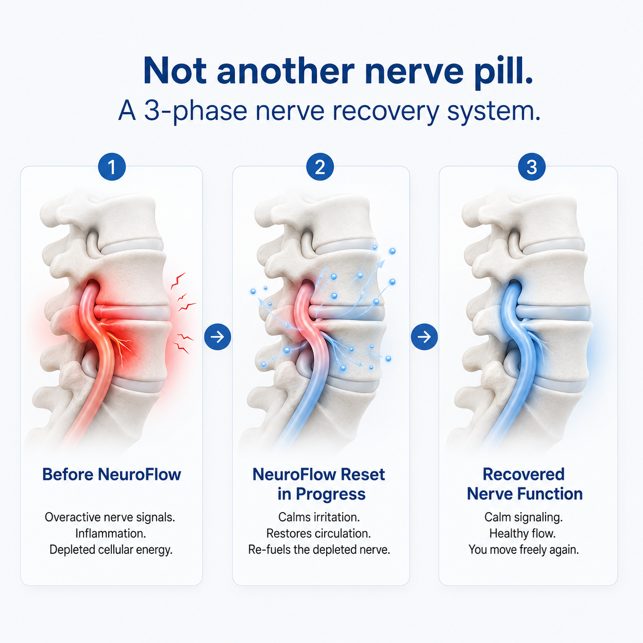Primal Nerve Support